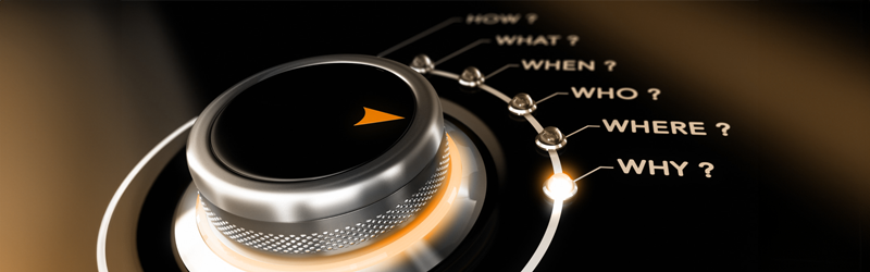 Digiworkz, Nexus, decision making, bid development, idea, proposal, business transformation, consultant