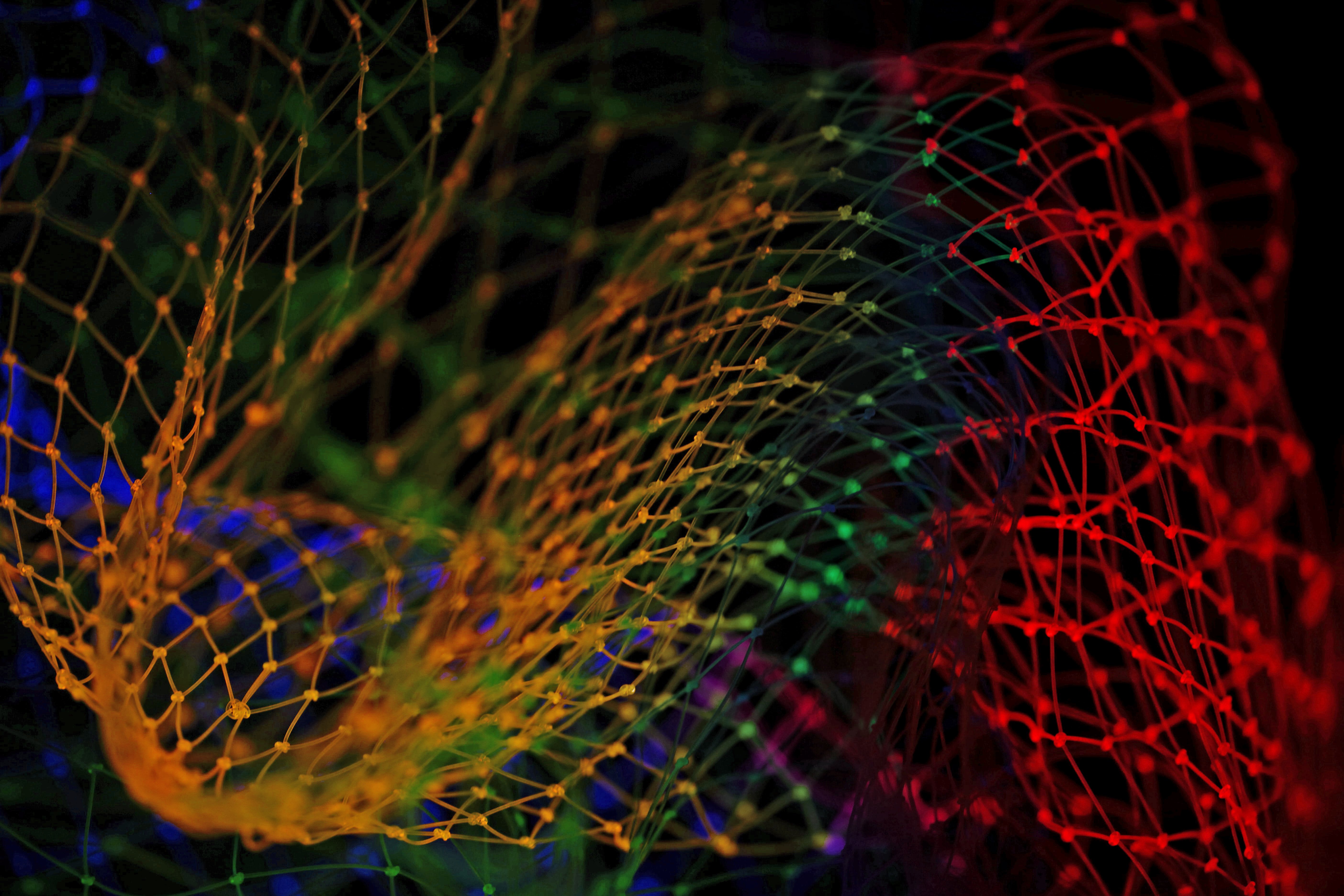 pietro-jeng-n6B49lTx7NM-unsplash